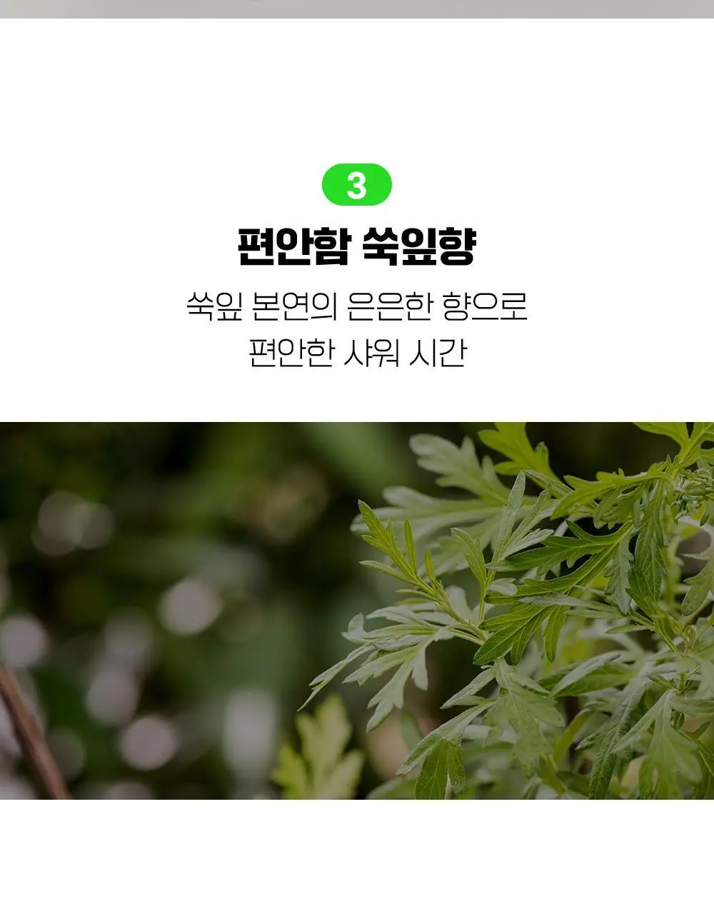 [화해1위] 파티온 노스카나인 트러블 바디워시 490ml 상세페이지 27